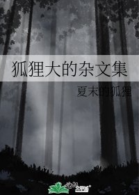 《狐狸大的杂文集》