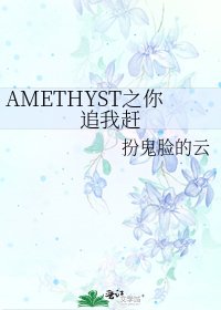 《AMETHYST之你追我赶》