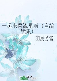 《一起来看流星雨(自编续集)》