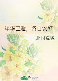 《年华已逝,各自安好》