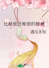 《比秘密还秘密的秘密》
