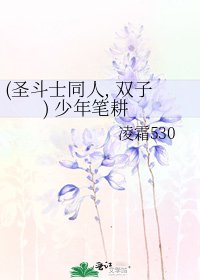 《(圣斗士同人, 双子) 少年笔耕》
