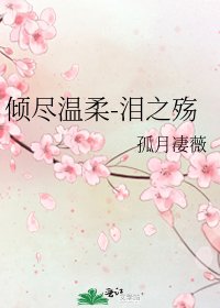 《倾尽温柔-泪之殇》