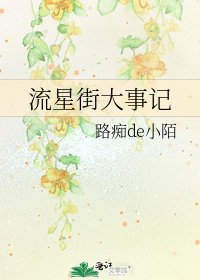 《流星街大事记》