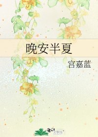《晚安半夏》