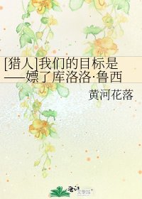 [猎人]我们的目标是——嫖了库洛洛·鲁西鲁！