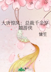 《大唐惊凤:总裁千金穿越游侠》