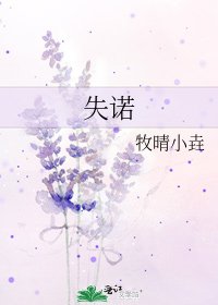 《失诺》