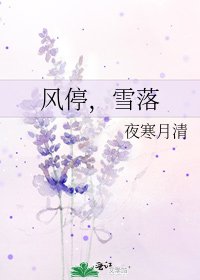 《风停,雪落》