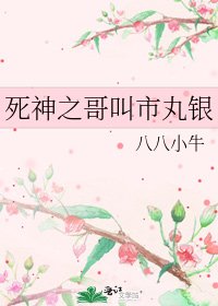 《死神之哥叫市丸银》