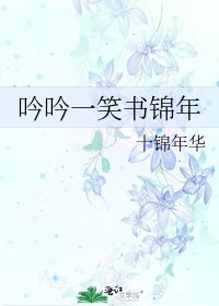 吟吟一笑书锦年