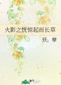 《火影之恍惊起而长草》