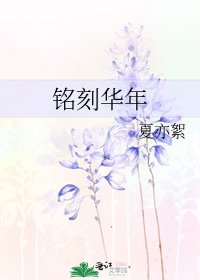 《铭刻华年》