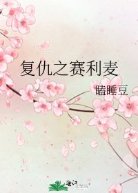 《复仇之赛利麦》