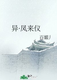 《异·凤来仪》