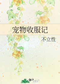 宠物收服记