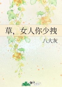 《草,女人你少拽》