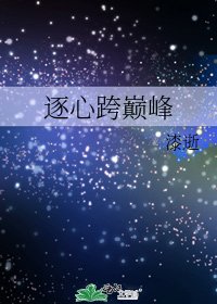 《逐心跨巅峰》