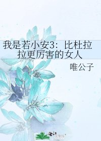 《我是若小安3:比杜拉拉更厉害的女人》
