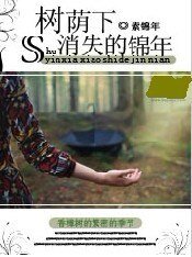 《树荫下消失的锦年》