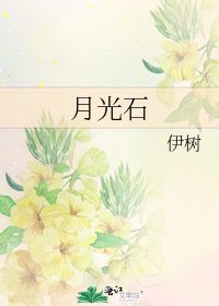 《月光石》