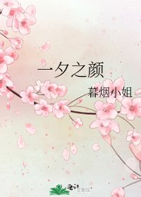 《一夕之颜》