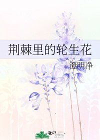 《荆棘里的轮生花》