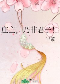 庄主,乃非君子!