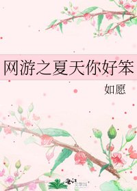 《网游之夏天你好笨》