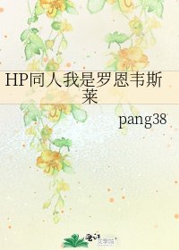 《HP同人我是罗恩韦斯莱》