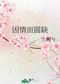 《因情而圆缺》