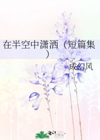 《在半空中潇洒(短篇集)》