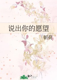《说出你的愿望》
