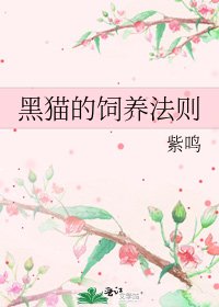 黑猫的饲养法则