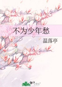 不为少年愁