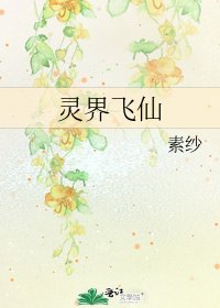 《灵界飞仙》
