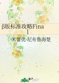 《β版标准巩略Final》