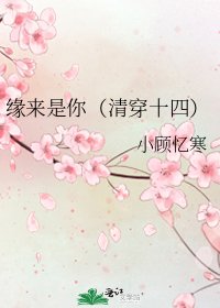《缘来是你(清穿十四)》