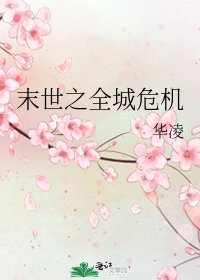 《末世之全城危机》
