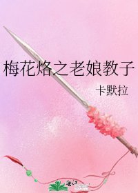 《梅花烙之老娘教子》