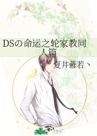 《DSの命运之轮家教同人篇》
