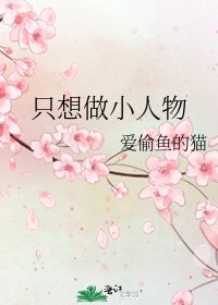 《只想做小人物》