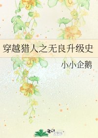 穿越猎人之无良升级史