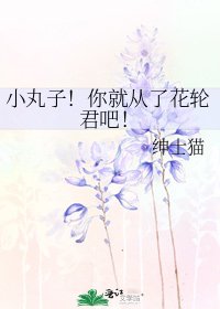 《小丸子!你就从了花轮君吧!》