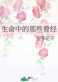 生命中的那些曾经