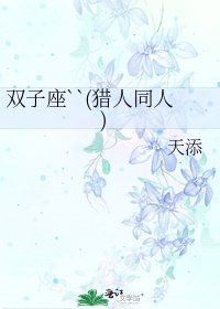《双子座``(猎人同人)》