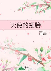 《天使的翅膀》