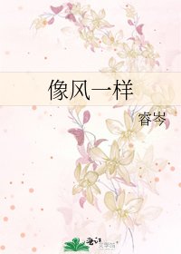 《像风一样》