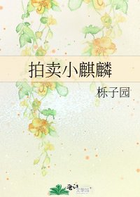 《拍卖小麒麟》