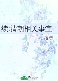 《续:清朝相关事宜》